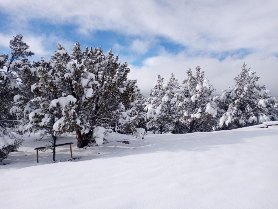 Pinyon Ridge Ranch Near Zion Np Hot Tub Pets Ok オーダービル エクステリア 写真