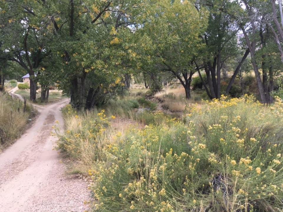 Pinyon Ridge Ranch Near Zion Np Hot Tub Pets Ok オーダービル エクステリア 写真